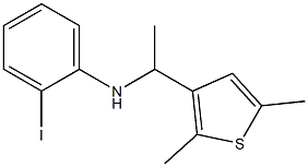 N-[1-(2,5-dimethylthiophen-3-yl)ethyl]-2-iodoaniline 结构式