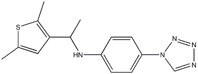 N-[1-(2,5-dimethylthiophen-3-yl)ethyl]-4-(1H-1,2,3,4-tetrazol-1-yl)aniline 化学構造式