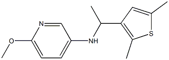 N-[1-(2,5-dimethylthiophen-3-yl)ethyl]-6-methoxypyridin-3-amine Structure