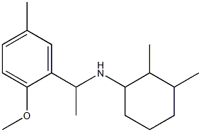 N-[1-(2-methoxy-5-methylphenyl)ethyl]-2,3-dimethylcyclohexan-1-amine,,结构式