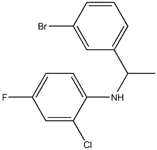 N-[1-(3-bromophenyl)ethyl]-2-chloro-4-fluoroaniline Structure