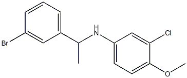 N-[1-(3-bromophenyl)ethyl]-3-chloro-4-methoxyaniline 结构式