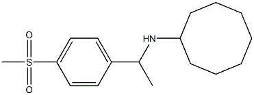 N-[1-(4-methanesulfonylphenyl)ethyl]cyclooctanamine Struktur