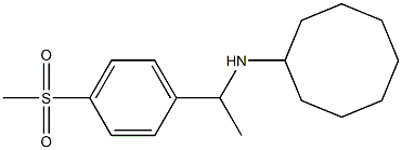  N-[1-(4-methanesulfonylphenyl)ethyl]cyclooctanamine