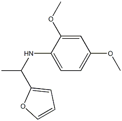 N-[1-(furan-2-yl)ethyl]-2,4-dimethoxyaniline Struktur