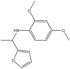 N-[1-(furan-2-yl)ethyl]-2,4-dimethoxyaniline Structure