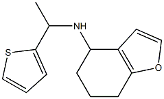  N-[1-(thiophen-2-yl)ethyl]-4,5,6,7-tetrahydro-1-benzofuran-4-amine