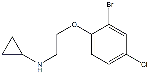 N-[2-(2-bromo-4-chlorophenoxy)ethyl]cyclopropanamine Struktur