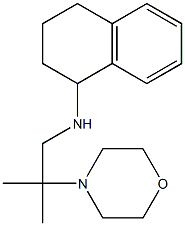  N-[2-methyl-2-(morpholin-4-yl)propyl]-1,2,3,4-tetrahydronaphthalen-1-amine