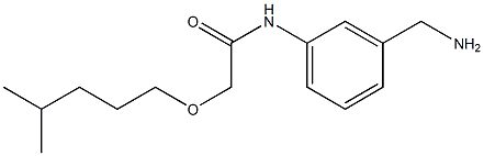 N-[3-(aminomethyl)phenyl]-2-[(4-methylpentyl)oxy]acetamide|