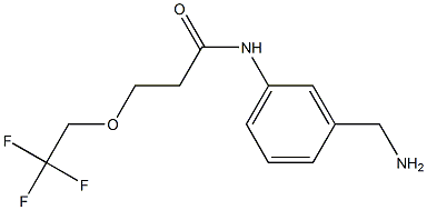 N-[3-(aminomethyl)phenyl]-3-(2,2,2-trifluoroethoxy)propanamide