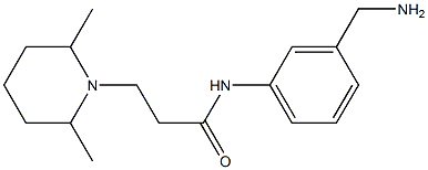 N-[3-(aminomethyl)phenyl]-3-(2,6-dimethylpiperidin-1-yl)propanamide 化学構造式