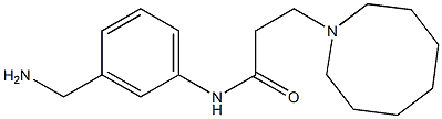 N-[3-(aminomethyl)phenyl]-3-(azocan-1-yl)propanamide 化学構造式