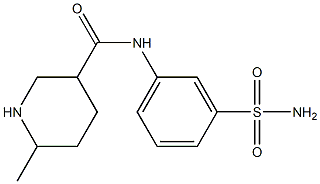 N-[3-(aminosulfonyl)phenyl]-6-methylpiperidine-3-carboxamide Structure