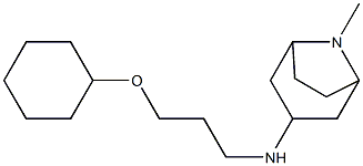 N-[3-(cyclohexyloxy)propyl]-8-methyl-8-azabicyclo[3.2.1]octan-3-amine Struktur