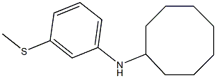 N-[3-(methylsulfanyl)phenyl]cyclooctanamine Structure