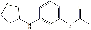 N-[3-(thiolan-3-ylamino)phenyl]acetamide,,结构式