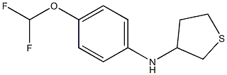 N-[4-(difluoromethoxy)phenyl]thiolan-3-amine Struktur