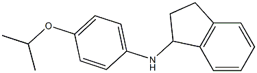 N-[4-(propan-2-yloxy)phenyl]-2,3-dihydro-1H-inden-1-amine|