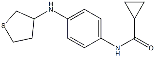 N-[4-(thiolan-3-ylamino)phenyl]cyclopropanecarboxamide Structure