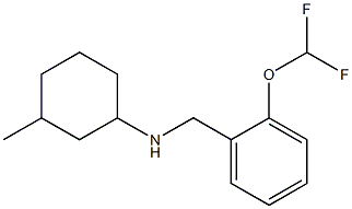 N-{[2-(difluoromethoxy)phenyl]methyl}-3-methylcyclohexan-1-amine Struktur