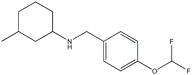 N-{[4-(difluoromethoxy)phenyl]methyl}-3-methylcyclohexan-1-amine Struktur