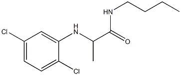 N-butyl-2-[(2,5-dichlorophenyl)amino]propanamide Struktur