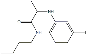 N-butyl-2-[(3-iodophenyl)amino]propanamide Struktur