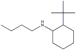 N-butyl-2-tert-butylcyclohexan-1-amine 结构式