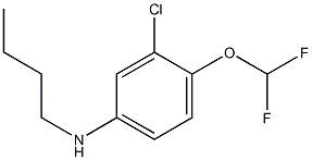 N-butyl-3-chloro-4-(difluoromethoxy)aniline,,结构式