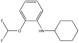 N-cyclohexyl-2-(difluoromethoxy)aniline Struktur