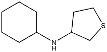 N-cyclohexylthiolan-3-amine
