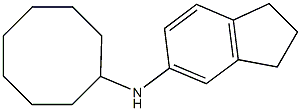 N-cyclooctyl-2,3-dihydro-1H-inden-5-amine,,结构式