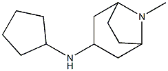N-cyclopentyl-8-methyl-8-azabicyclo[3.2.1]octan-3-amine,,结构式