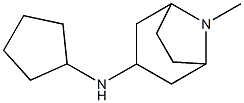  N-cyclopentyl-8-methyl-8-azabicyclo[3.2.1]octan-3-amine