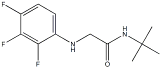 N-tert-butyl-2-[(2,3,4-trifluorophenyl)amino]acetamide