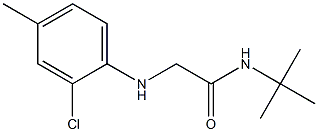 N-tert-butyl-2-[(2-chloro-4-methylphenyl)amino]acetamide Structure