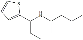 pentan-2-yl[1-(thiophen-2-yl)propyl]amine 化学構造式
