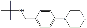 tert-butyl({[4-(morpholin-4-yl)phenyl]methyl})amine,,结构式