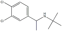 tert-butyl[1-(3,4-dichlorophenyl)ethyl]amine Struktur