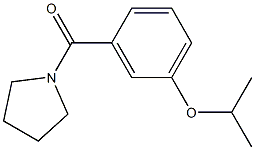 isopropyl 3-(1-pyrrolidinylcarbonyl)phenyl ether 结构式