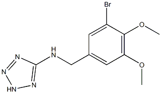 N-(3-bromo-4,5-dimethoxybenzyl)-N-(2H-tetraazol-5-yl)amine Structure