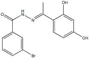 3-bromo-N'-[(E)-1-(2,4-dihydroxyphenyl)ethylidene]benzohydrazide Struktur