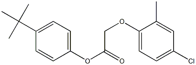 4-(tert-butyl)phenyl 2-(4-chloro-2-methylphenoxy)acetate 化学構造式