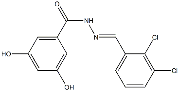 N'-[(E)-(2,3-dichlorophenyl)methylidene]-3,5-dihydroxybenzohydrazide,,结构式