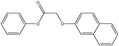 phenyl 2-(2-naphthyloxy)acetate Struktur