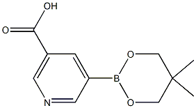 5-(5,5-Dimethyl-1,3,2-dioxaborinan-2-yl)-nicotinic acid