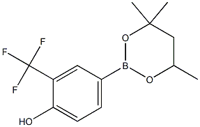2-(Trifluoromethyl)-4-(4,4,6-trimethyl-1,3,2-dioxaborinan-2-yl)phenol,,结构式