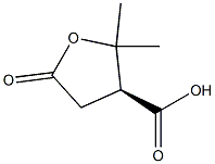 (S)-Tetrahydro-2,2-dimethyl-5-oxo-3-furancarboxylic acid|