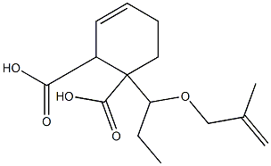 3-シクロヘキセン-1,2-ジカルボン酸水素1-[1-(メタリルオキシ)プロピル] 化学構造式